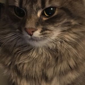 Meet your Posher, Tammy